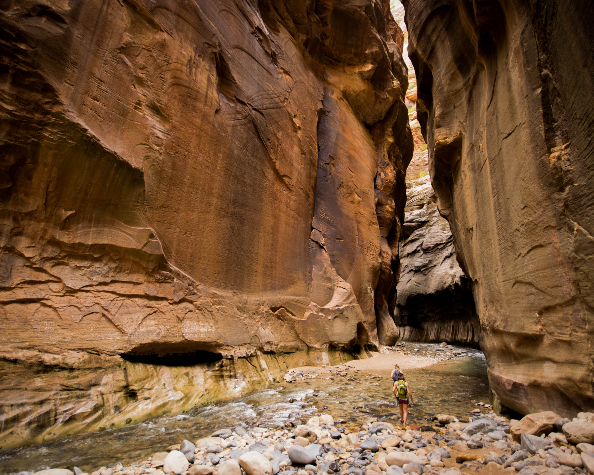 Hiking in The Narrows at Zion National Park.