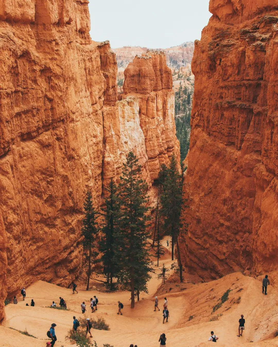 Visitors climbing Bryce Canyon.
