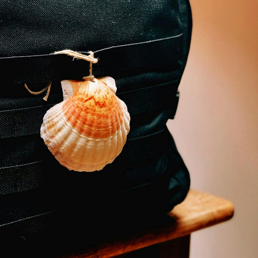 Black backpack with a Camino shell attached to it.