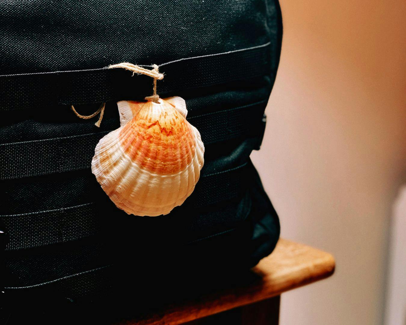 Black backpack with a Camino shell attached to it.