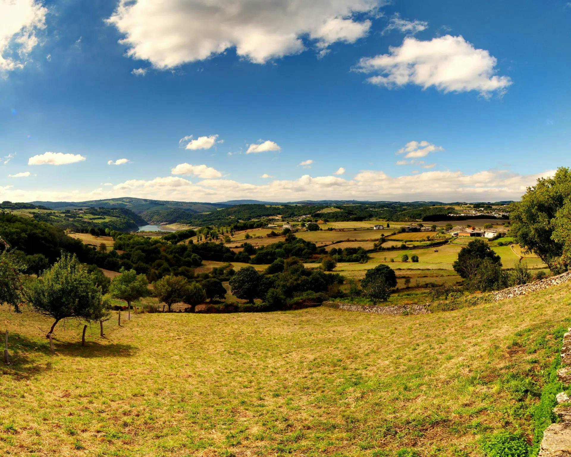 A field somewhere on Camino Francés, between Sarria and Santiago de Compostela.